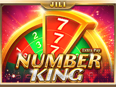 Number King game cover
